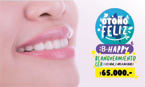 OTONO-FELIZ-ServicioWEB-02